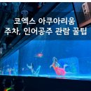 북문어린이집 | [코엑스 아쿠아리움 후기] 주차 꿀팁부터 인어공주 공연까지
