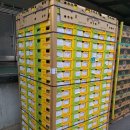 (주)골드레몬 이미지