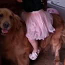 수호천사공조 이미지