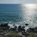 마레마레송정 이미지