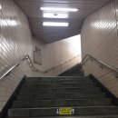 서유1호 이미지