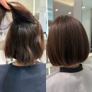 송탄농업협동조합진위지점 | 찰스리헤어테크 평택고덕점 S클리닉 모발클리닉 태슬컷 후기