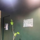 중앙미장원 네이버블로그