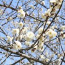 물우경로당 이미지