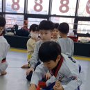 옥정 용인대 백호 태권도장 이미지