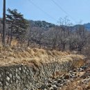 [고려산힐링캠프] 강화도_애견 동반 가능 캠핑장_계곡과 방방이가 있는 인천 강화도 오토캠핑장 소개...