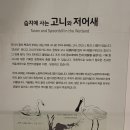 대전의 천연기념물 센터