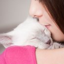 고척 원 동물의료센터 이미지