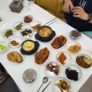 놀러오개 애견유치원 애견호텔 양벌점 | ఇ.26년 8월