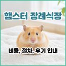 천사장례토탈서비스 | 햄스터 장례식장 선택 전 필독│소동물 장례 주의사항, 비용, 절차, 후기까지 완벽 정리
