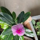 옥계남로-2 이미지