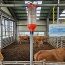 기대축산 이미지