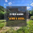 [대구고 30] 동기들과 삼삼데이(삼계탕 + 삼겹살)