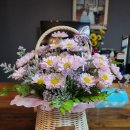 윤희네백숙