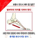 상봉알즈너