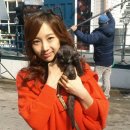 한소영 카카오 검색결과