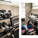 비베호디에 이미지