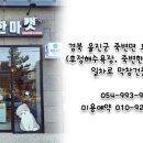 독한마캣