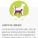 대영약국 이미지