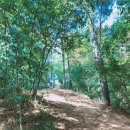 월영갈비 이미지