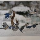 27일까지 한국예술사진총연합 홍천지회 사진전 이미지