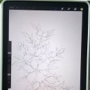 아이패드 디지털드로잉 이미지