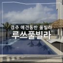 워시돔 발전소 | 경주 애견동반 풀빌라 루쓰풀빌라 야외 수영장 애견 운동장 후기