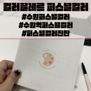 경기도 수원시 권선구 덕영대로 1009 (세류동) | [수원/세류] 수원역퍼스널컬러/수원퍼스널컬러 컬러끌레르 퍼스널 컬러 2:1후기(12월 31일까지 리뉴얼...