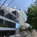 퍼피스테이 이미지