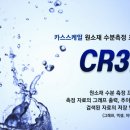 카스스케일 - 전주시덕진구 | 카스스케일