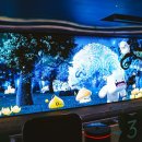 (주)버킷플레이 이미지