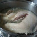 오리궁뎅이 이미지