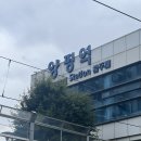 스테이 이든 | 양평 촌캉스 아그니 초시매 한옥스테이 이든방 후기