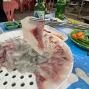 현대초장 | 부산 근교 야장 맛집 : 울산 일산지 회센터 •7번 현대수산 •일산초장