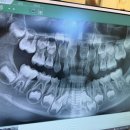 보듬치과의원 이미지