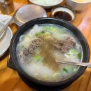 희락식당 | [경북/영천] 영천 소머리곰탕 맛집‘희락식당’ 희락곰탕 후기