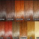 에뜨르보 이미지