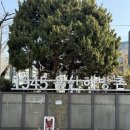 맨톤 - 마포구 잔다리로 130 | 빌라드블루 해방촌ㅣ서울 용산 맛집 주말 오픈런 내돈내산 후기