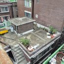 중앙동237 이미지