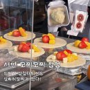 모찌모찌
