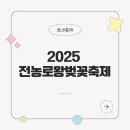 통기타(야간) | 2025 제18회 전농로왕벚꽃축제 일정 정보 주차 꿀팁