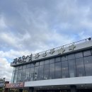 기원은갈치본점 | 제주도 중문ㅣ제주오성 순살갈치조림 구이 아침식사 가능한곳 내돈내산 방문후기 아이랑 가기좋은곳