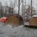 피노키오 자연휴양림 야영장 이미지