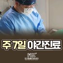 우리생명과학동물병원 | 부평구청동물병원 강아지 방광염 비수술/수술 치료 A to Z