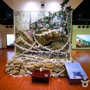 인제 관광안내소 이미지