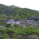 운수3리 Daum카페
