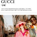 이지안경원 이미지