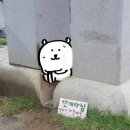 창원황약국 | 윤선생이 되다! / 이관희 씨 자만추한 썰🤩 / おしえてください♡ / 언버블리버블.ㅋㅋ