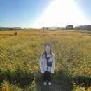 멍멍분식 | 2025. 11. (1)