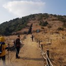 정상농장 이미지